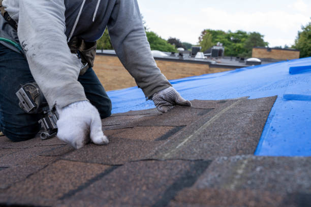 Best Local Roofing Companies  in Galva, KS